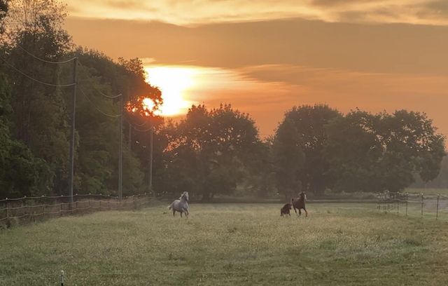 19250 Homer Road, Eckford Twp, MI 49068