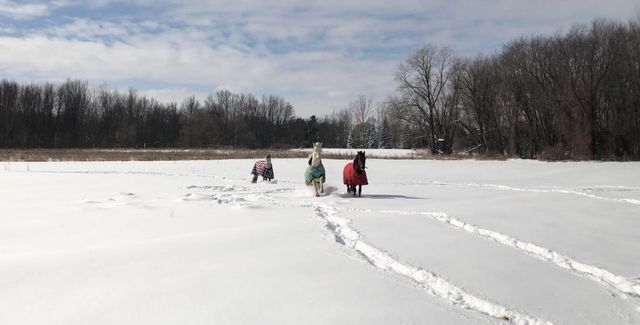 19250 Homer Road, Eckford Twp, MI 49068