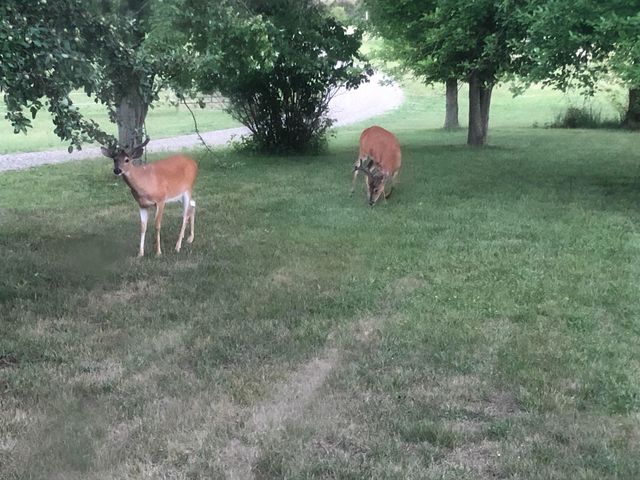 19250 Homer Road, Eckford Twp, MI 49068