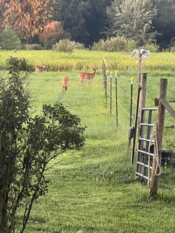 19250 Homer Road, Eckford Twp, MI 49068