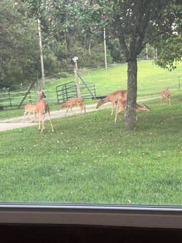 19250 Homer Road, Eckford Twp, MI 49068