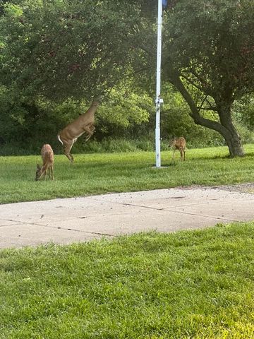 19250 Homer Road, Eckford Twp, MI 49068