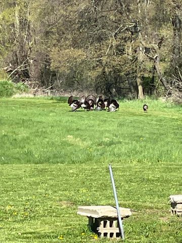 19250 Homer Road, Eckford Twp, MI 49068