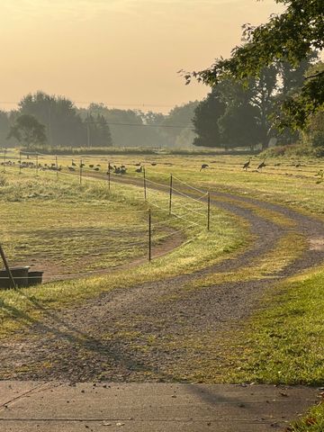 19250 Homer Road, Eckford Twp, MI 49068