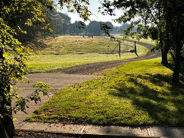 19250 Homer Road, Eckford Twp, MI 49068