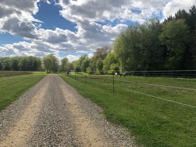 19250 Homer Road, Eckford Twp, MI 49068