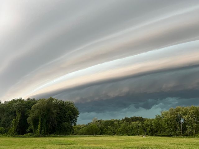 19250 Homer Road, Eckford Twp, MI 49068