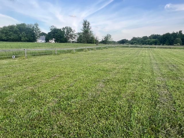 19250 Homer Road, Eckford Twp, MI 49068