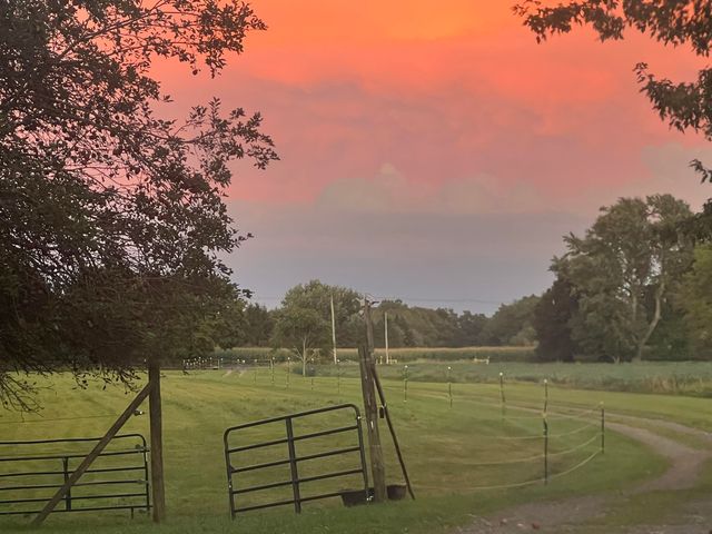 19250 Homer Road, Eckford Twp, MI 49068