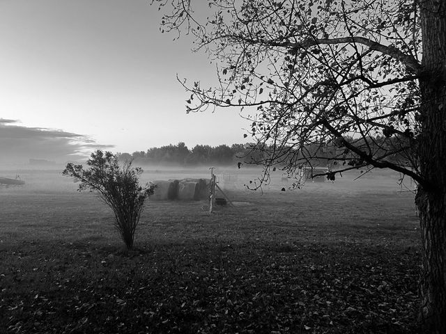 19250 Homer Road, Eckford Twp, MI 49068