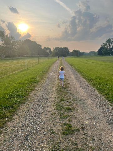 19250 Homer Road, Eckford Twp, MI 49068