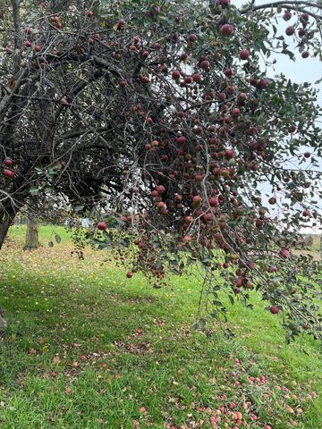 19250 Homer Road, Eckford Twp, MI 49068