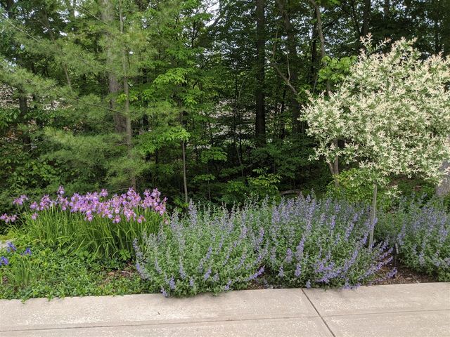 4209 N Oak Pointe, Grand Rapids, MI 49525