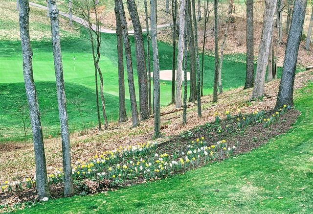 4209 N Oak Pointe, Grand Rapids, MI 49525