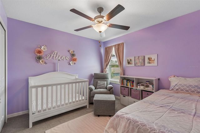 8955 SHADYSIDE LANE, Land O Lakes, FL 34637