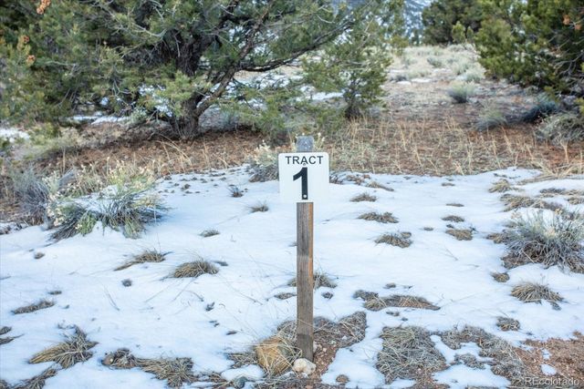 Tract 1 Cozart Lane, Salida, CO 81201