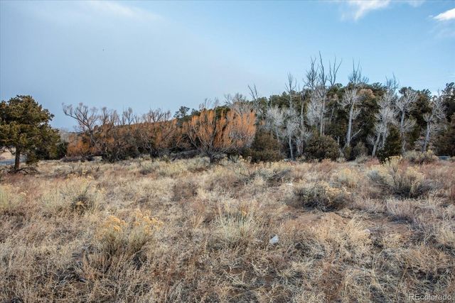 Tract 1 Cozart Lane, Salida, CO 81201