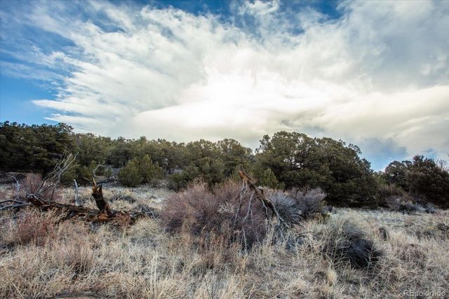 Tract 1 Cozart Lane, Salida, CO 81201