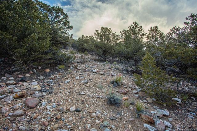 Tract 1 Cozart Lane, Salida, CO 81201