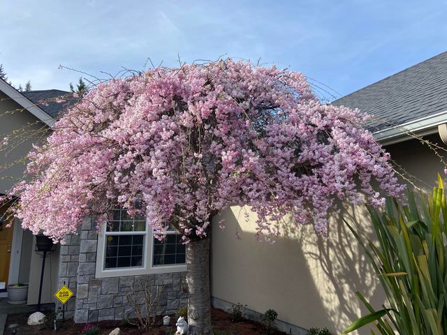 1116 Cashmere Drive, Grants Pass, OR 97527