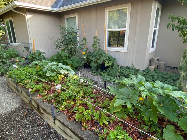 1116 Cashmere Drive, Grants Pass, OR 97527