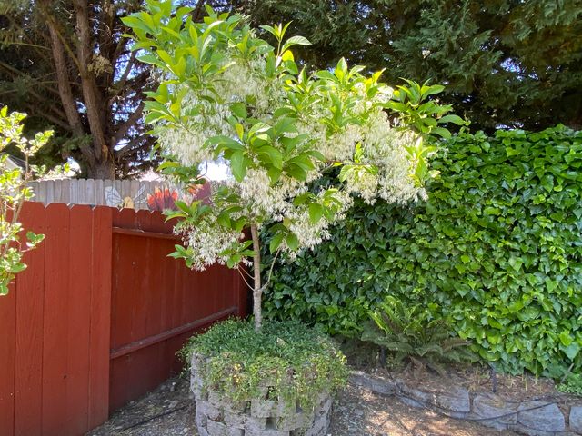 1116 Cashmere Drive, Grants Pass, OR 97527