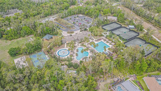 27053 WINGED ELM DRIVE, Wesley Chapel, FL 33544