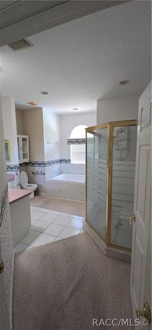 11151 W Deep Blue Place, Crystal River, FL 34428