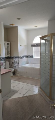 11151 W Deep Blue Place, Crystal River, FL 34428