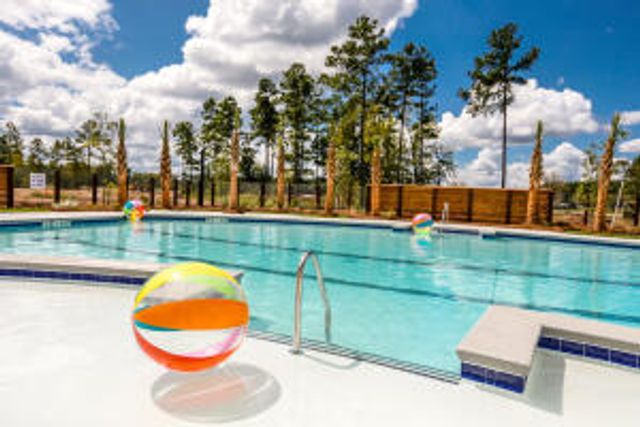 105 Golden Allagash Way, Summerville, SC 29485