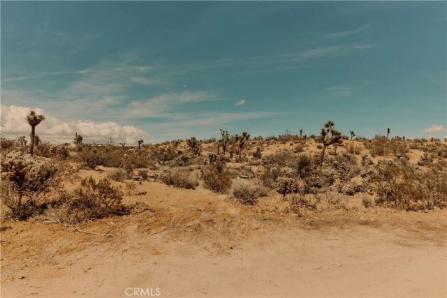 59055 Williams Lane, Yucca Valley, CA 92284