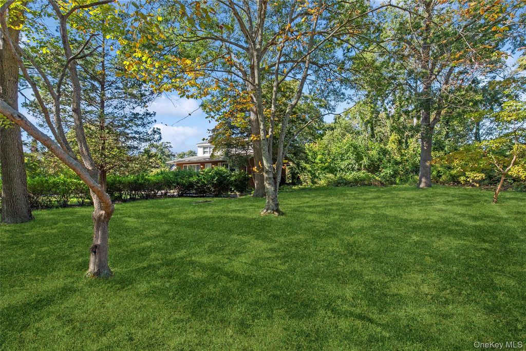9 Plandome Place, Selden, NY 11784 — photo 3