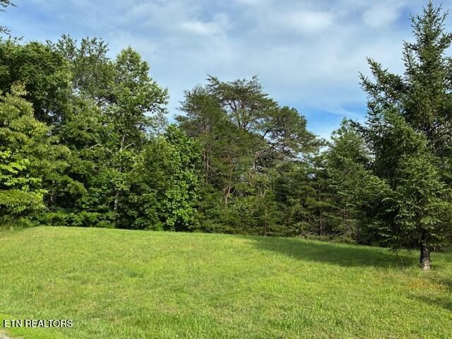 Lot 17 Waterstone Drive, Dandridge, TN 37725