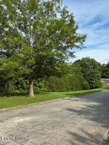 Lot 17 Waterstone Drive, Dandridge, TN 37725
