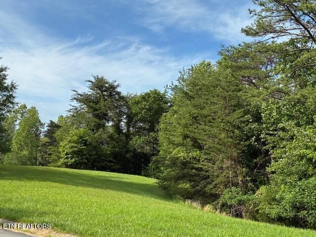 Lot 17 Waterstone Drive, Dandridge, TN 37725