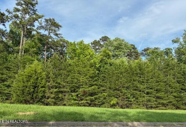 Lot 17 Waterstone Drive, Dandridge, TN 37725
