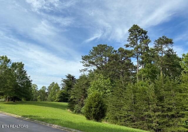 Lot 17 Waterstone Drive, Dandridge, TN 37725