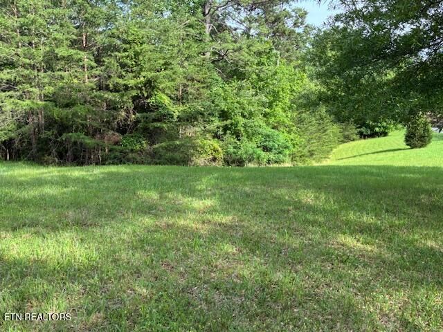 Lot 17 Waterstone Drive, Dandridge, TN 37725