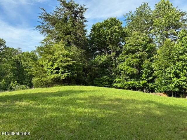 Lot 17 Waterstone Drive, Dandridge, TN 37725