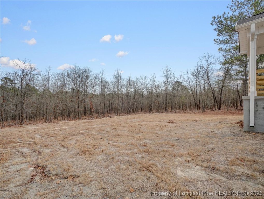 138 Travelers Way, Lillington, NC 27546 — photo 18