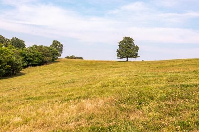 1576 County Road 221, Thayer, MO 65791