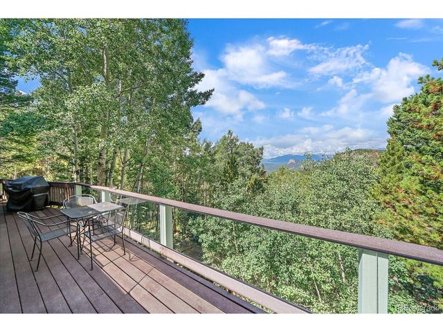 11471 Marks Dr, Conifer, CO 80433