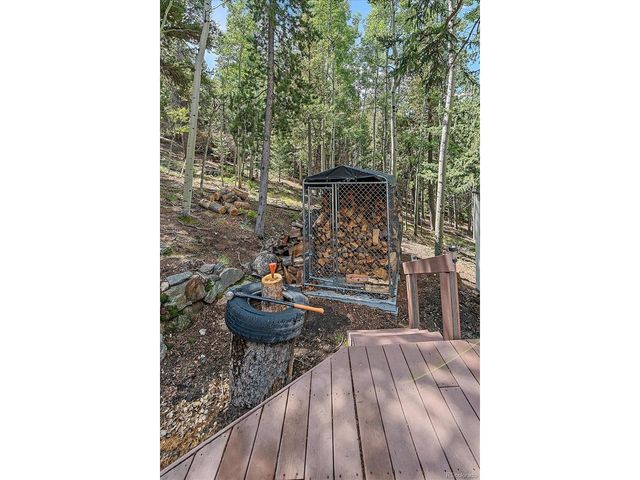 11471 Marks Dr, Conifer, CO 80433