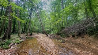 0 Birdsong Road, Holladay, TN 38341