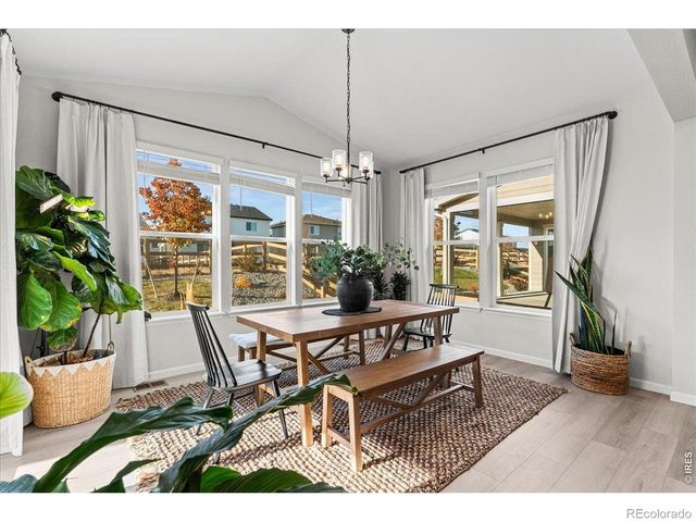 946 Rustling Street, Windsor, CO 80550