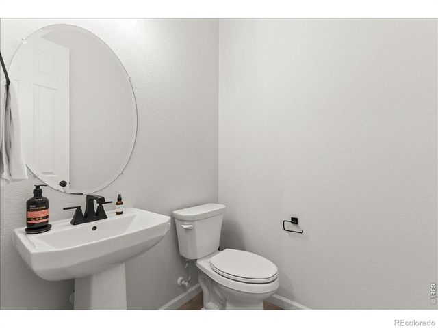 946 Rustling Street, Windsor, CO 80550