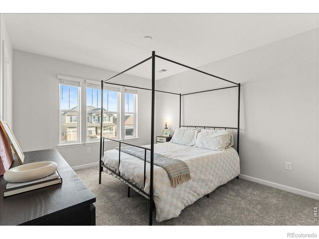 946 Rustling Street, Windsor, CO 80550