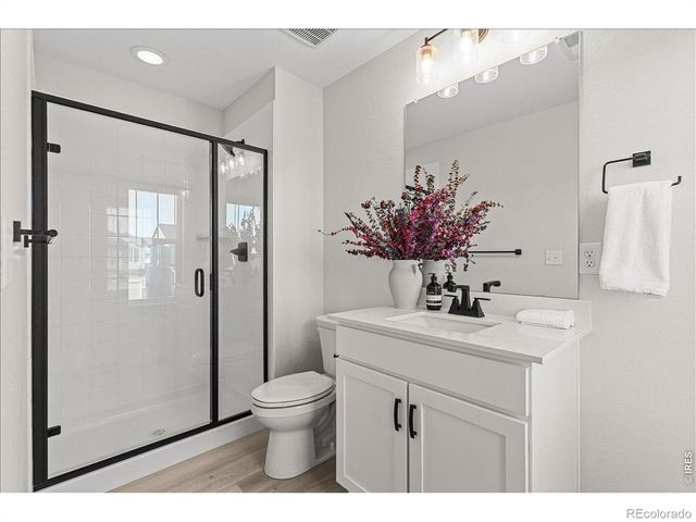 946 Rustling Street, Windsor, CO 80550