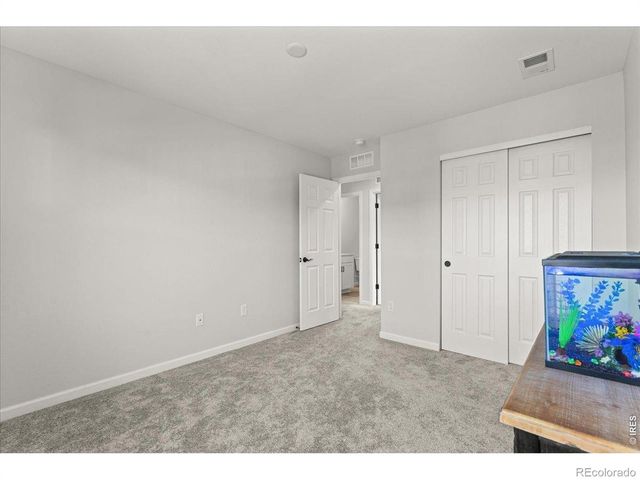 946 Rustling Street, Windsor, CO 80550