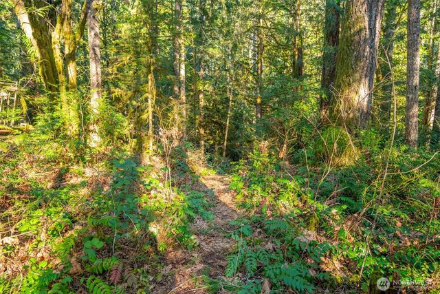 450 Mt Jupiter Pl, Hoodsport, WA 98548